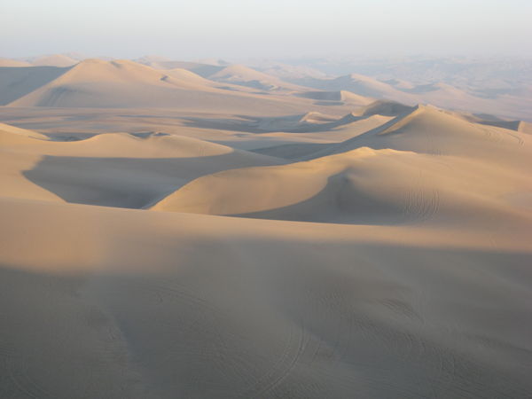 sand dunes everywhere