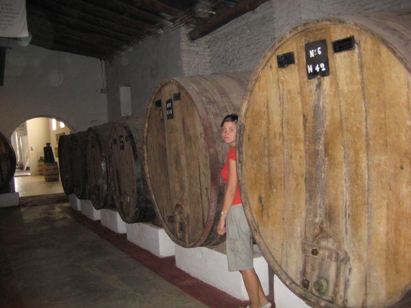 La Banda winery in Cafayate