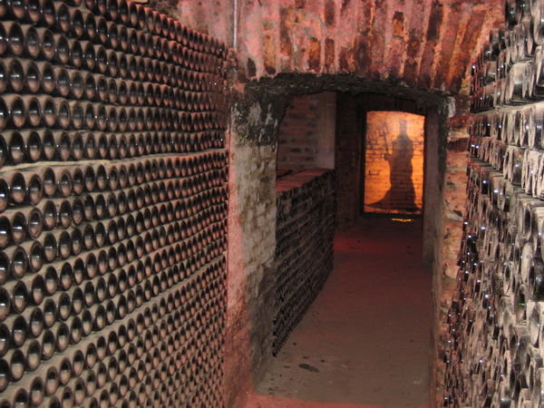 Casillero del Diablo(Devil's cellar)