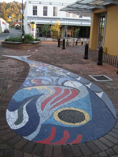 Whale in Nelson