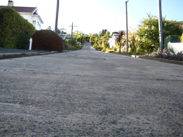 Baldwin St - the steepest street in the world