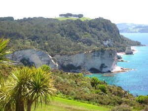 on the way to Cathedral Cove