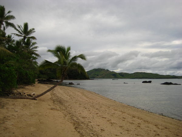 Tavewa island
