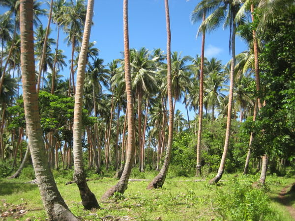 Matacawalevu island