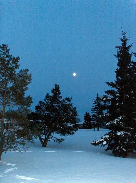 Moonrise over Mill Creek Ravine