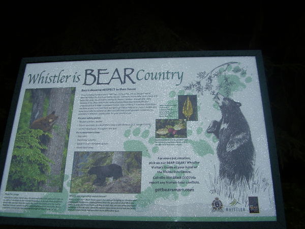 Whistler is Bear Country