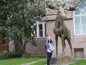 Emma with a big moose