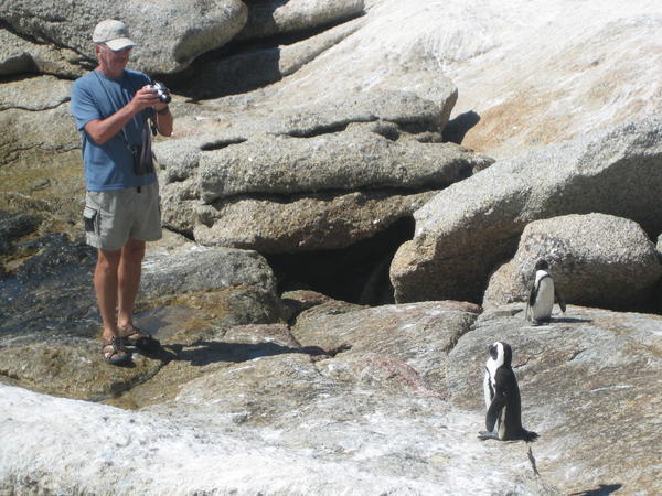 Hec shoots penguins