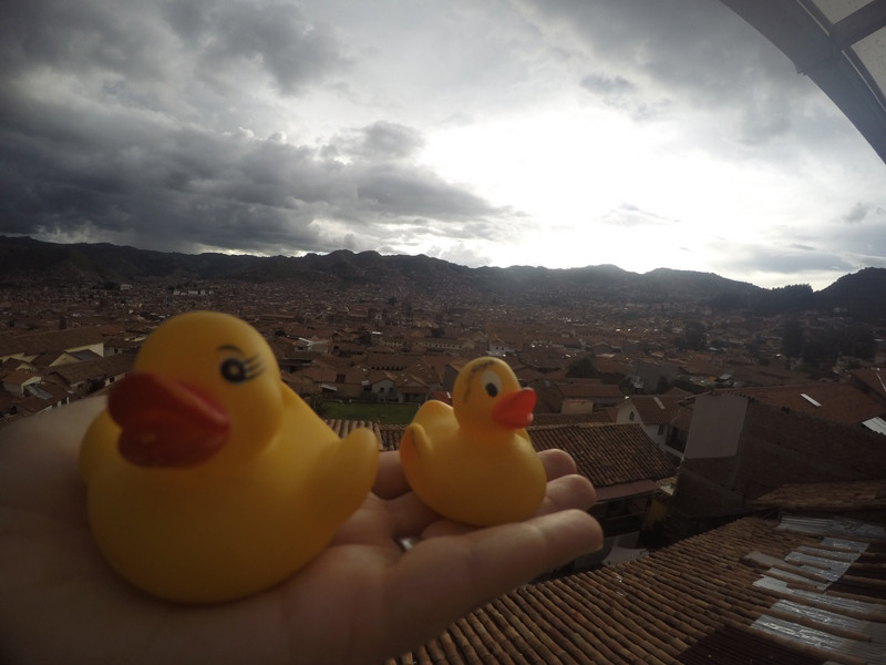 Ducklings over Cusco