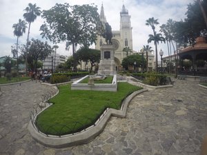 Guayaquil - Iguana park