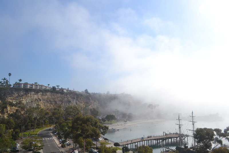 Fog over the Harbor