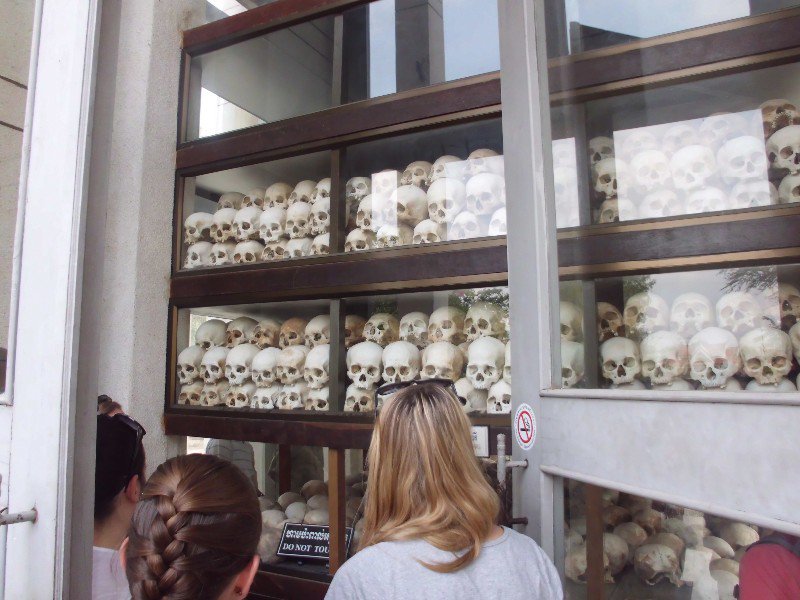 Collected skulls