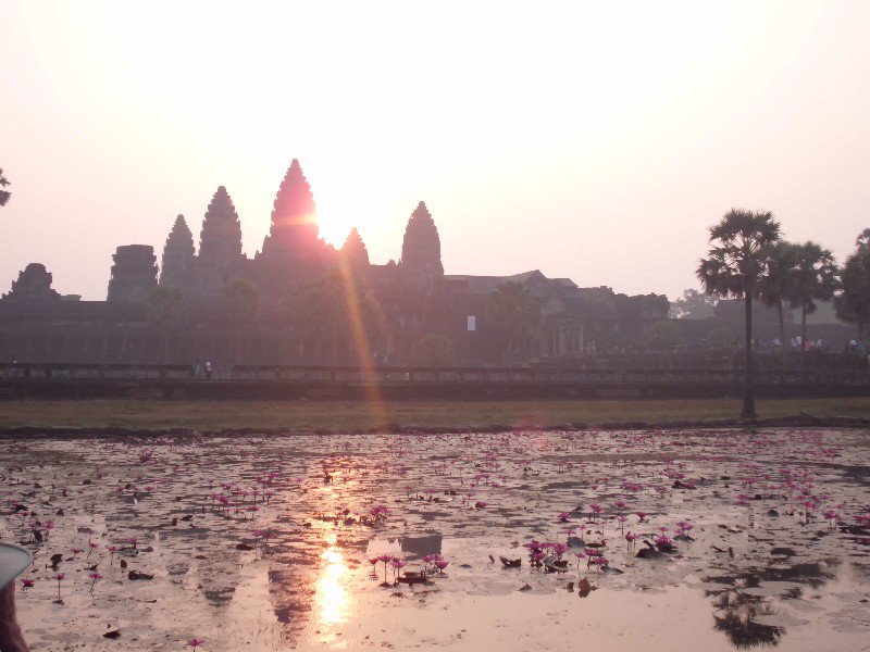Ankor Wat sunrise