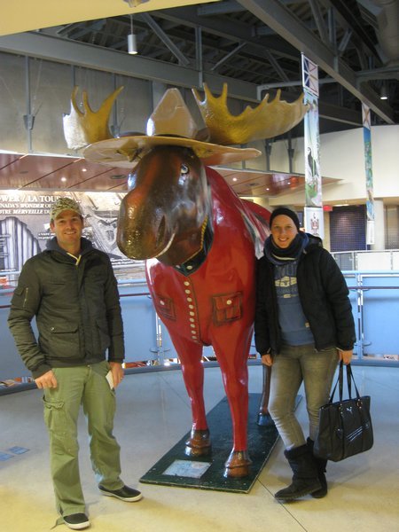 Some moose thing in the Cn tower