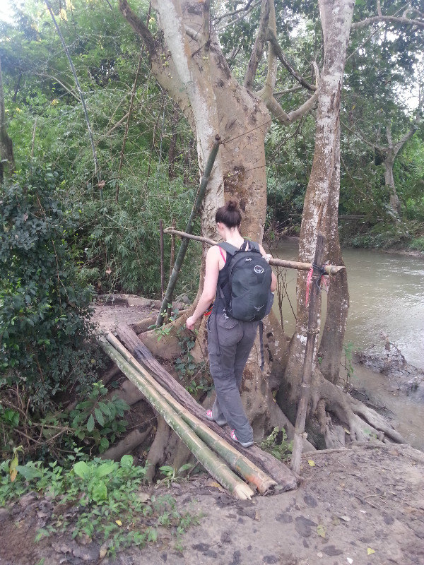 Crossing a bamboo bridge