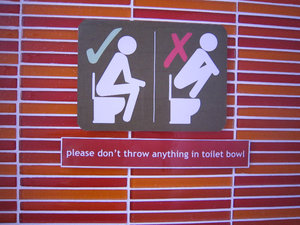Don't stand on the toilet!