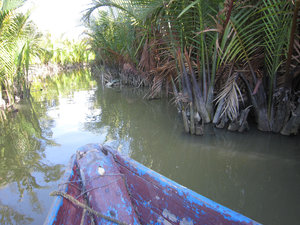 Making our way through the water coconut trees