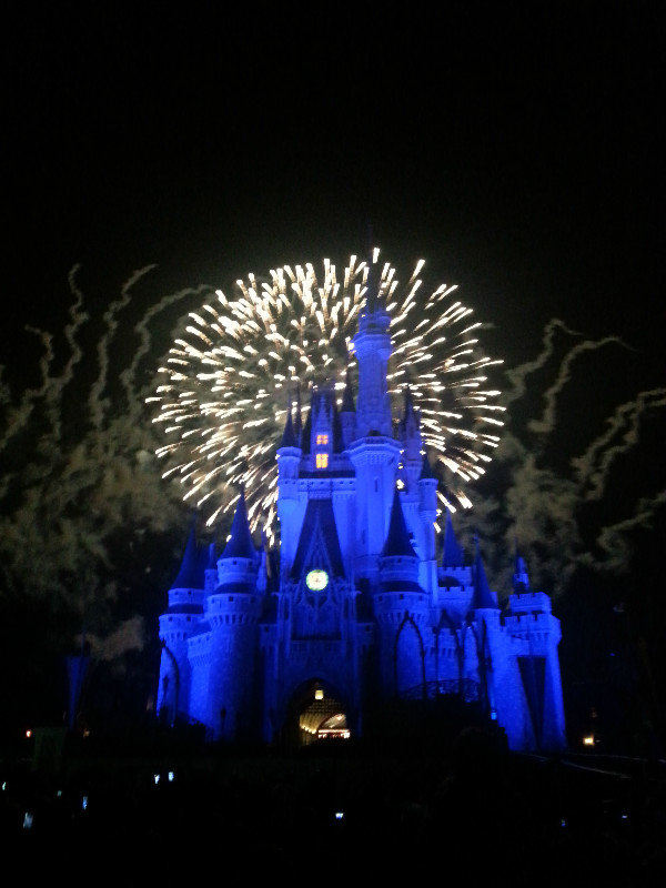 Cinderella castle in Disney