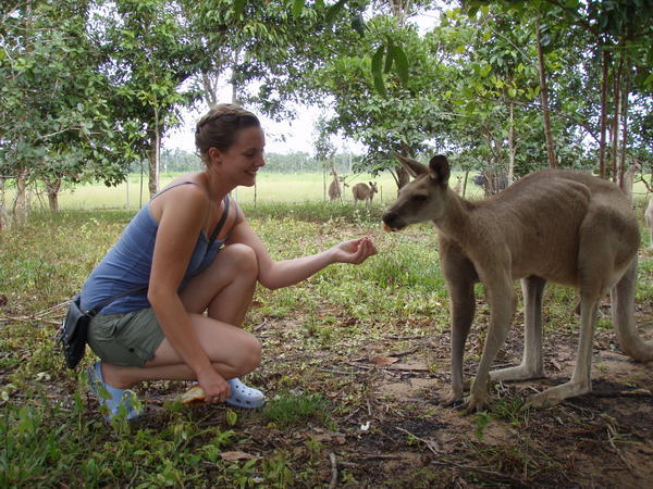 Saz & the Kangaroo 