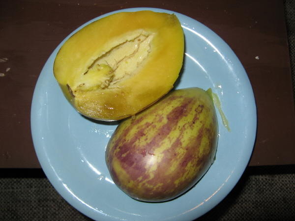 Pepino fruta
