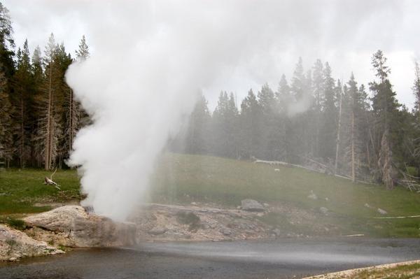 River Side Geyser: Yellowstone National Park
