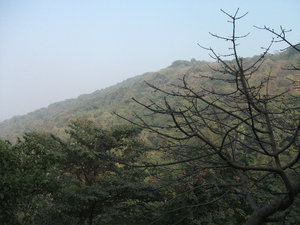 Elephanta Island