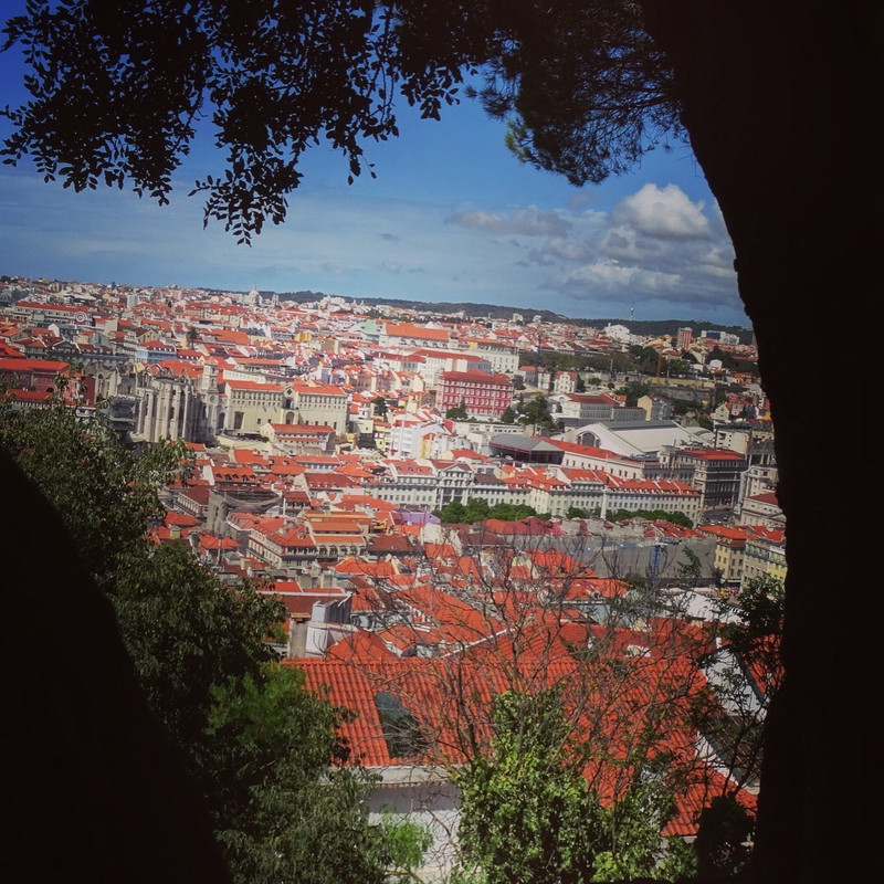 Red Rooftops - view from Castelo São Jorge