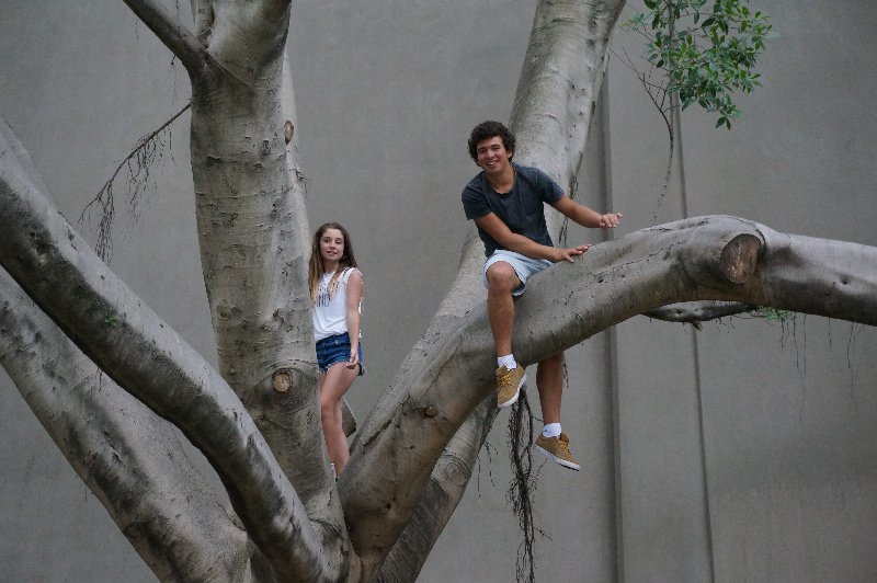 Amy and Ben being Monkeys in the Tree