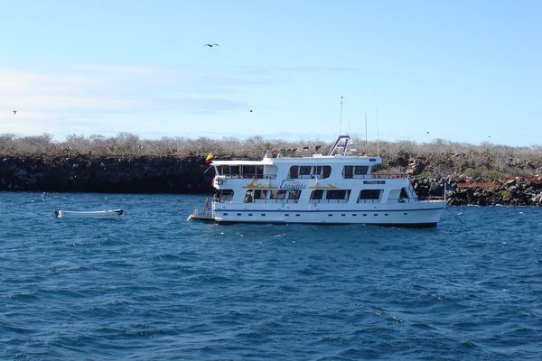 Galapagos - North Seymour