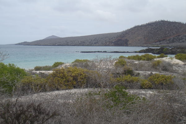 Galapagos - Floreana