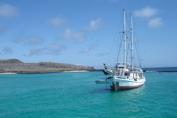 Galapagos - Santa Fe