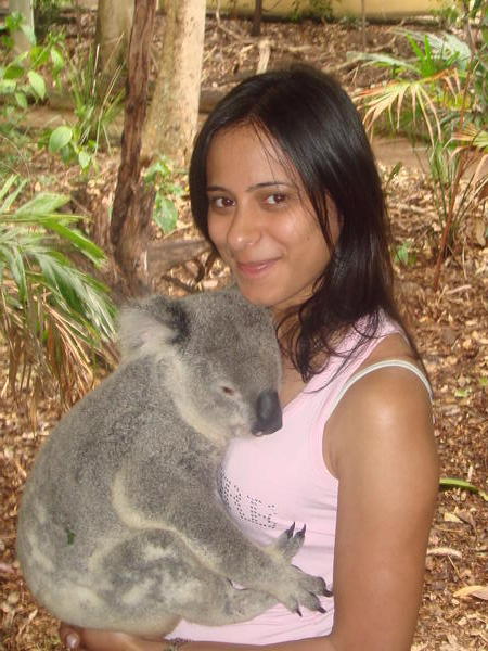 Lone Pine - Koala Sanctuary