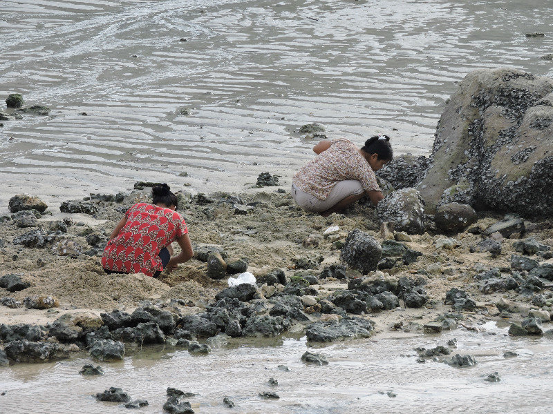 The locals collecting shell fish whilst the tide is out.