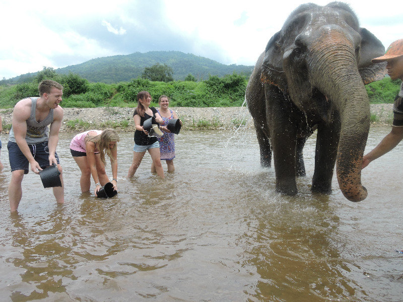 Elephant bath time!