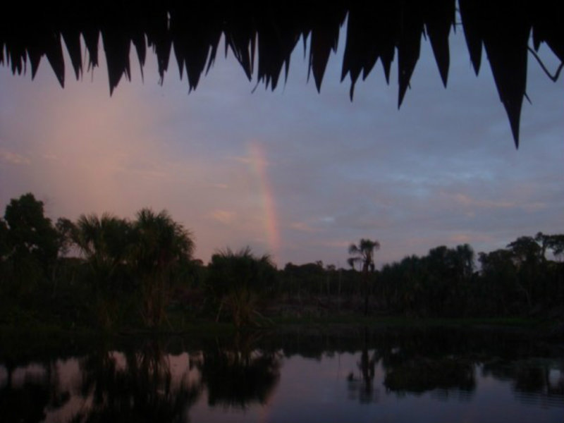 A gorgeous Amazonian evening