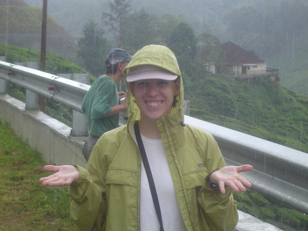 First rain in 5 weeks - Cameron Highlands