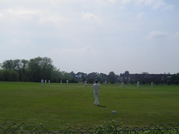 College cricket, Oxford