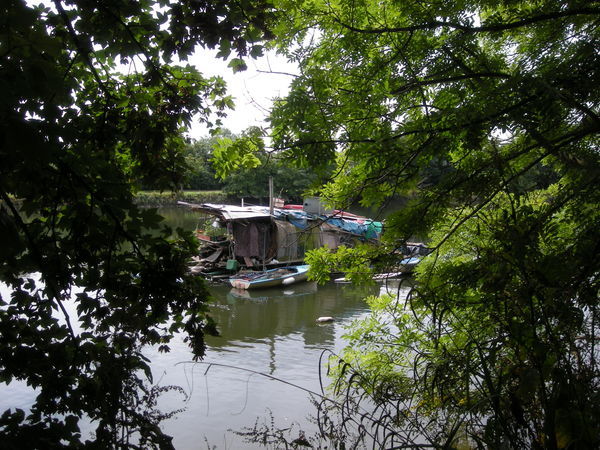 The boat man between Twickenham and Richmond