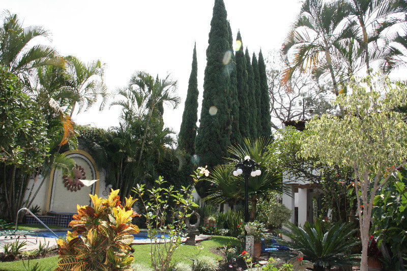 Garden and pool from the casita