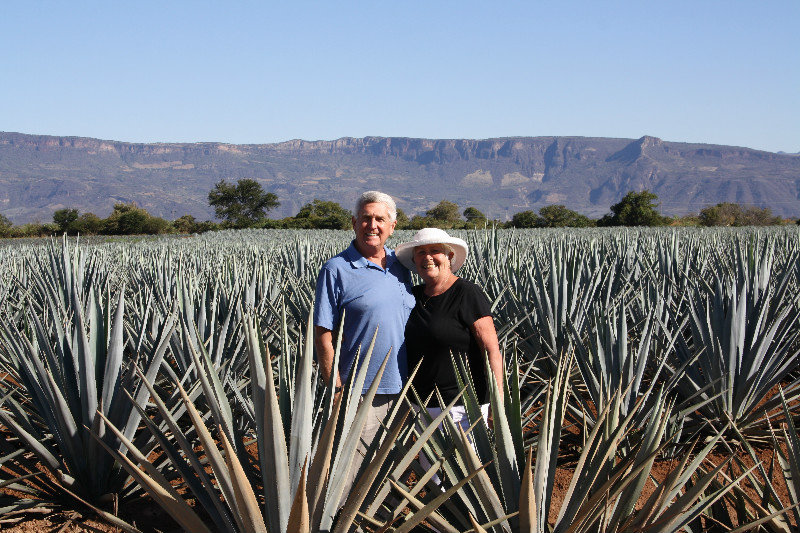 Rick and Carolyn in the Blue Agave fields