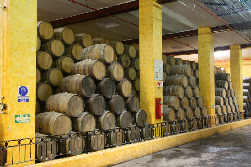 The barrel room at Jose Cuervo distillery