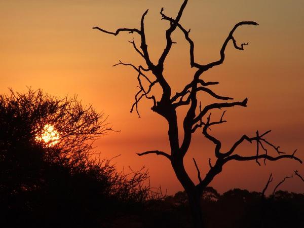 Gorgeous Kruger Sunset