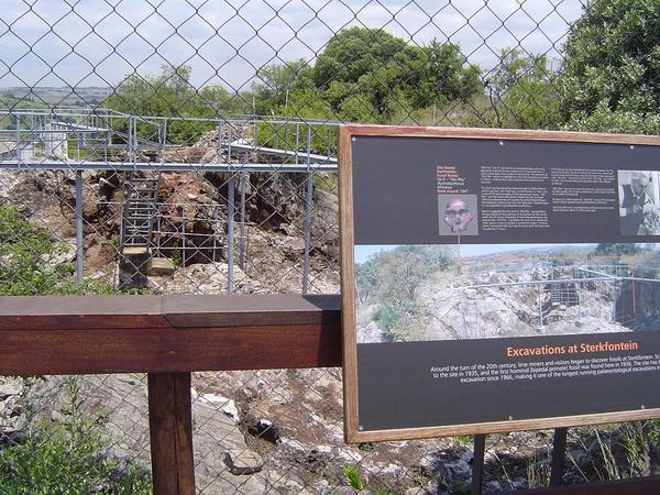 the excavation site