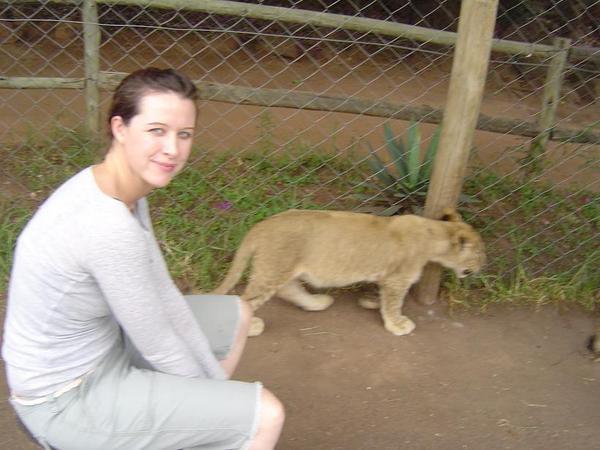 playing with the lions