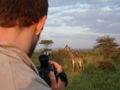 Jarrod filming a miniture Giraffe
