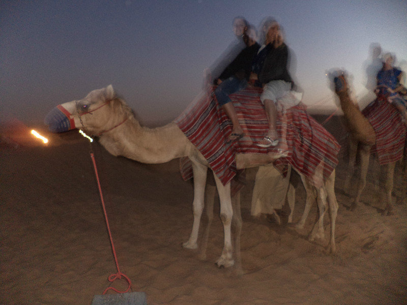 More camel rides