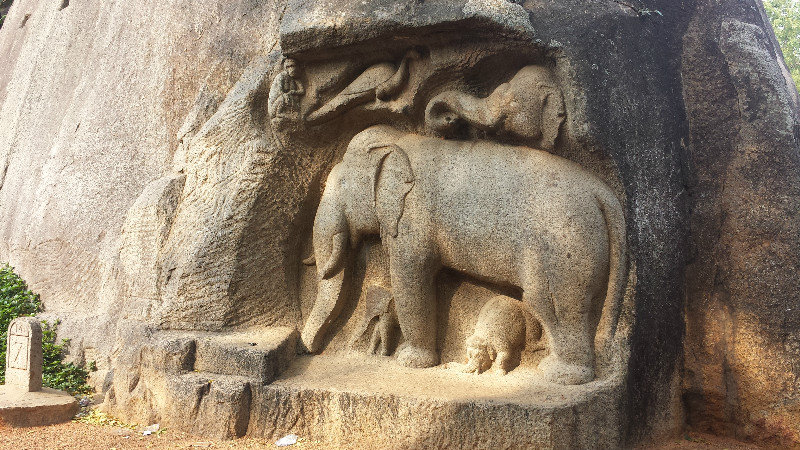 Elephant carving into rock