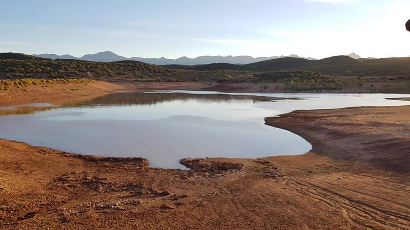 There are some hippos in there somewhere