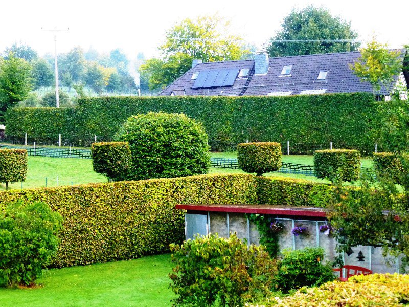 Hedge with Turrets