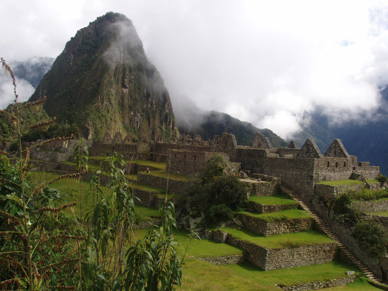 Machu Picchu 037